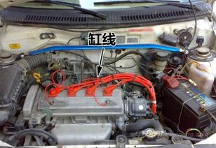 怎么分汽车多少缸