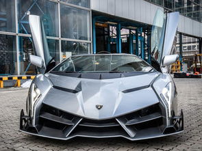 veneno汽车多少钱