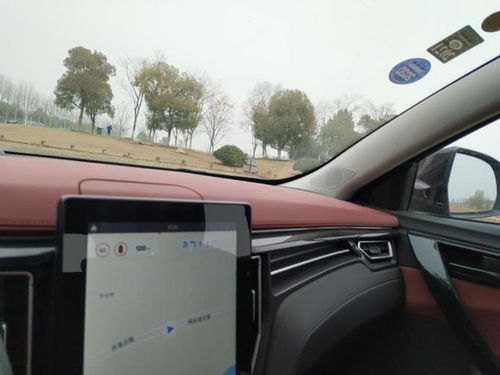 寂寞现行汽车多少号