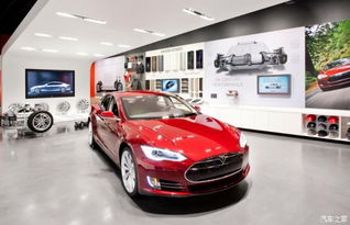 成都特斯拉汽车有多少