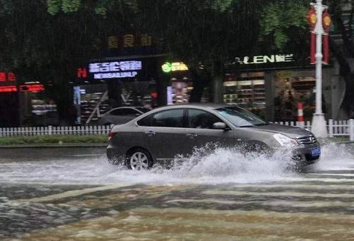 汽车泡水保险涨多少