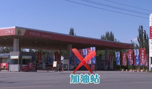 肃宁汽车违规多少天