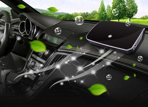 汽车清洗异味价格多少