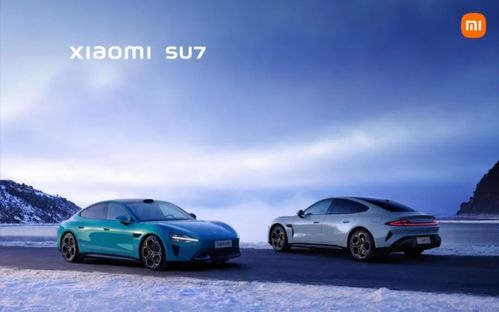 小米汽车911价格多少