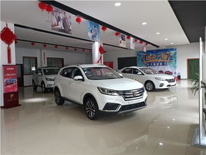 临泉汽车套餐价格多少