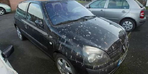 汽车上有多少胶 汽车上有多少胶