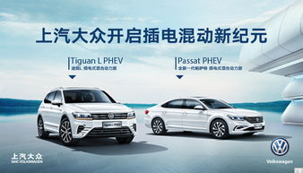 汕头汽车约会价格多少 汕头汽车约会价格多少