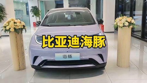 比亚迪海豚汽车优惠多少 比亚迪海豚汽车优惠多少