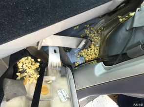 汽车雷达线间隔多少