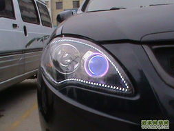 汽车能装多少驴 汽车能装多少驴