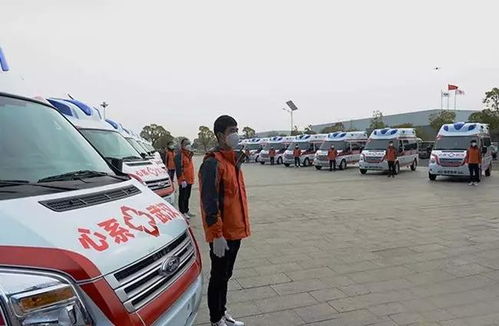 江铃汽车股价多少啊 江铃汽车股价多少啊