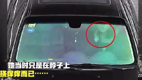 汽车飙车扣多少分 汽车飙车扣多少分