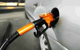 猎豹汽车加油标号多少 猎豹汽车加油标号多少