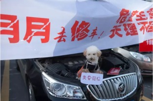 315汽车电话是多少