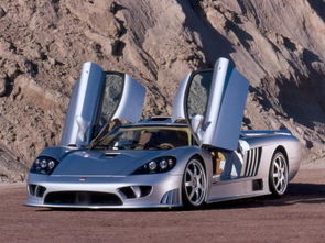 saleen汽车多少钱