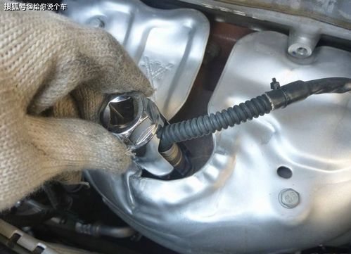 汽车加氧罐多少