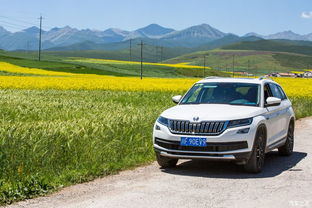 青海汽车之家佣金多少