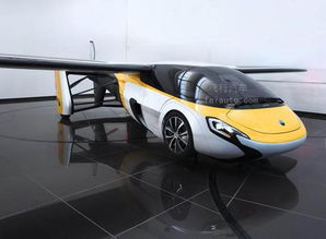 飞行汽车真品价格多少