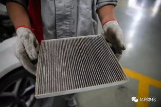 汽车滤芯直径多少毫米