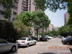 天津汽车公寓租金多少 天津汽车公寓租金多少