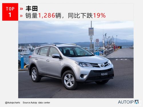 新加坡汽车月消费多少