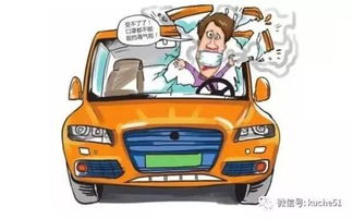 汽车上有多少炸药 汽车上有多少炸药