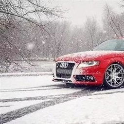 汽车雨燕多少升油