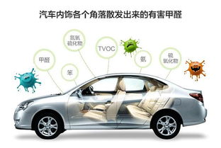 汽车去甲醛价位多少