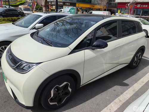 比亚迪汽车海豚电量多少