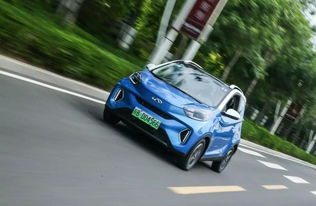 小蚂蚁补贴汽车多少