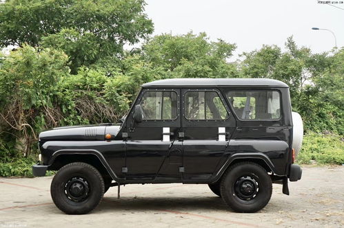 俄罗斯汽车多少排量