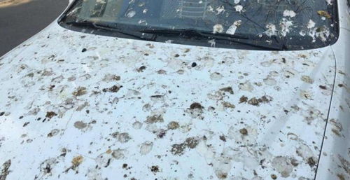 汽车洗车需要多少升水