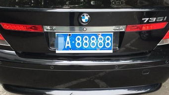 青岛汽车选号池多少