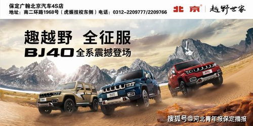 保定汽车有多少量 保定汽车有多少量