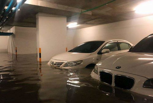 汽车浸水多少算严重