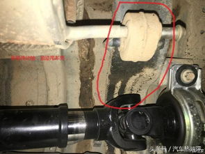 汽车有多少种油管