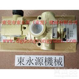 汽车油泵多少负的