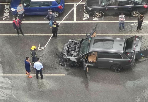 理想汽车洗车罚款多少