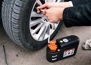 汽车补胎液放多少