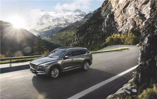 郴州汽车总量多少辆车