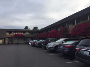 路上有多少汽车英语