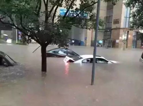 今年洪灾汽车损失多少