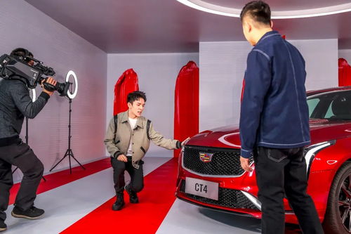 罗永浩投资多少品牌汽车