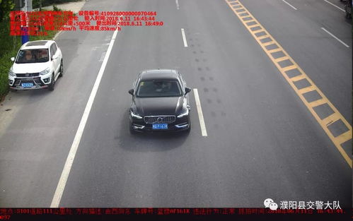 濮阳汽车有多少辆