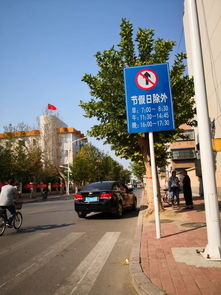 濮阳汽车有多少路