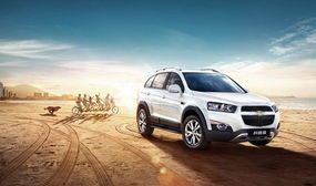 滨州汽车月销量多少 滨州汽车月销量多少