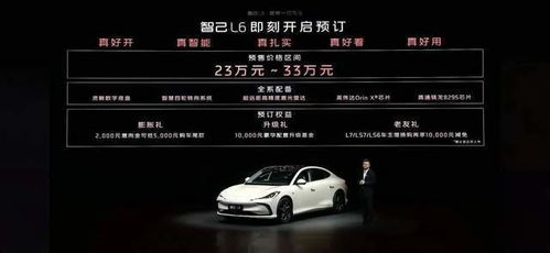 小米汽车ceo年薪多少 小米汽车ceo年薪多少