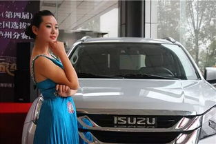 汽车车模多少元