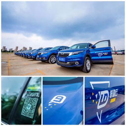 阳江共享汽车有多少