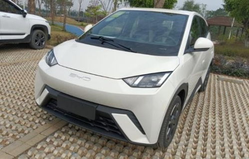 比亚迪海鸥汽车定价多少 比亚迪海鸥汽车定价多少